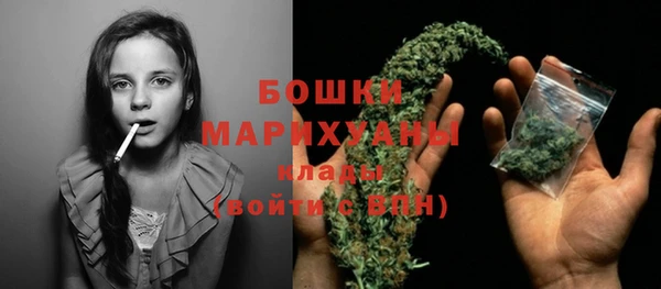 круглые Гусев