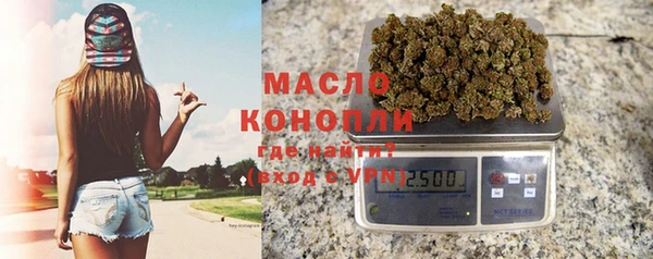 круглые Гусев