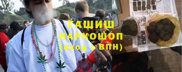 круглые Гусев