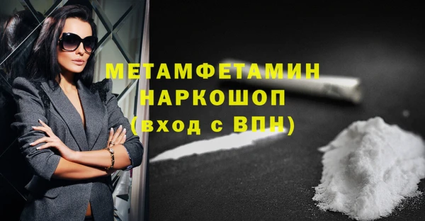 прущие грибы Бабаево